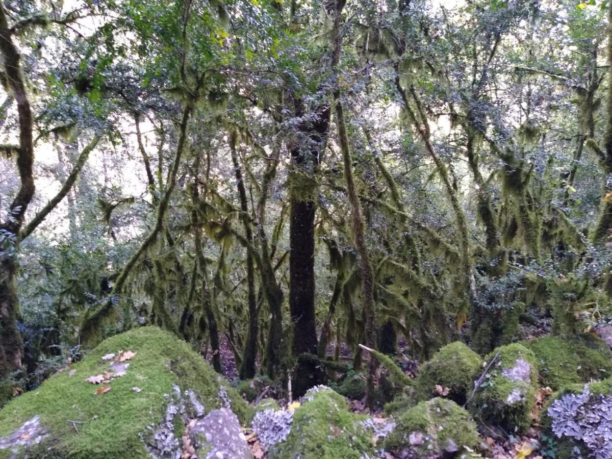 Era De Trespui En Pirineos Βίλα Peramea Εξωτερικό φωτογραφία